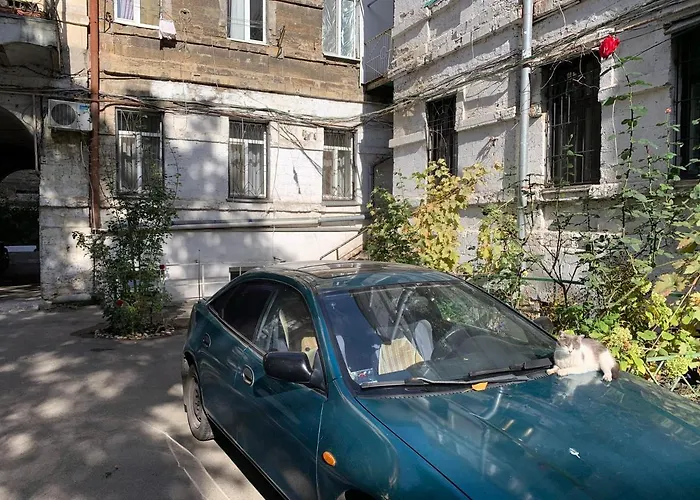 Apartment Excellent In The Center Of *